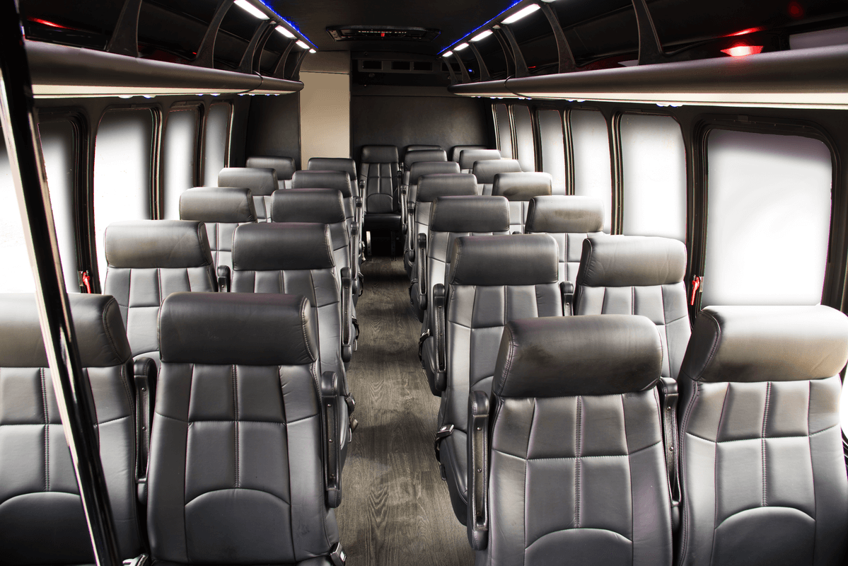Luxury Mini Coach photo 2